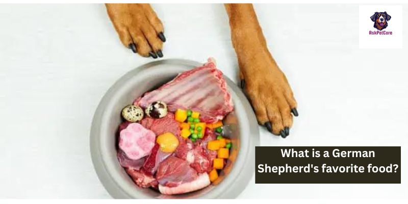 What Is a German Shepherd's Favorite Food