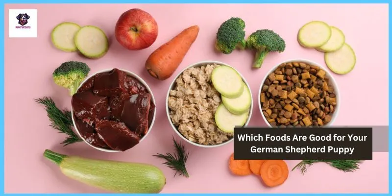 Which Foods Are Good for Your German shepherd Puppy