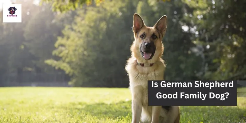 Is German shepherd Good Family Dog