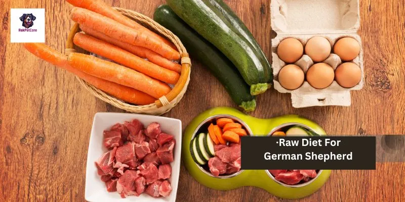 Raw Diet for German shepherd