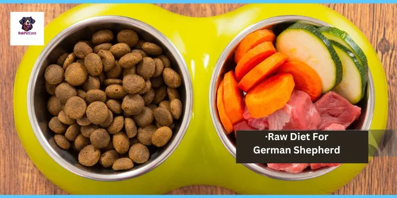 Raw Diet for German shepherd