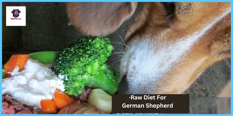 Raw Diet for German shepherd