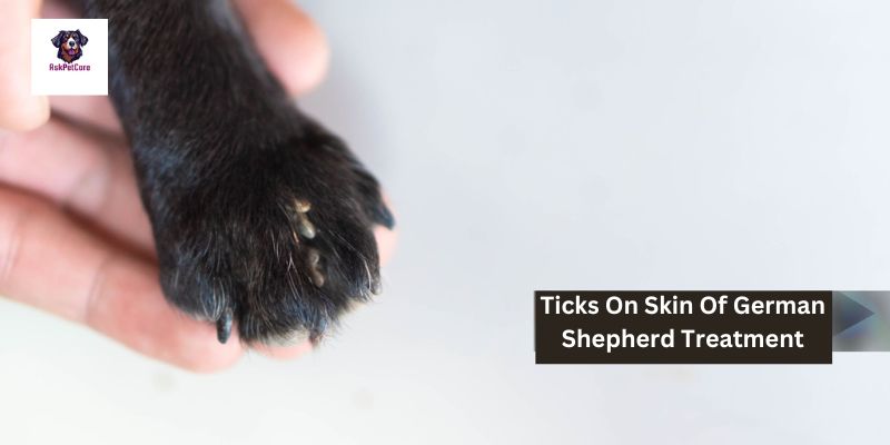 Tick Treatment for German Shepherds