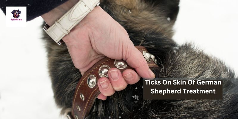 Tick Treatment for German Shepherds