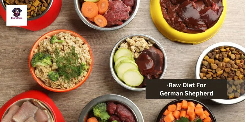 raw food for dog