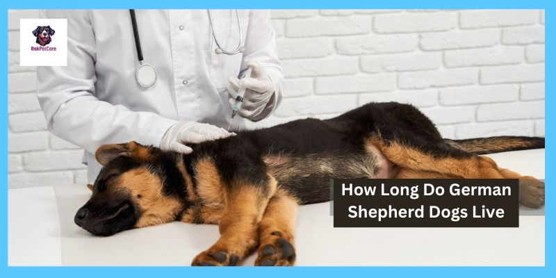 How long GSD Live