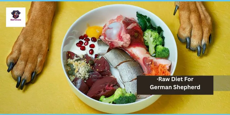 raw food for dog