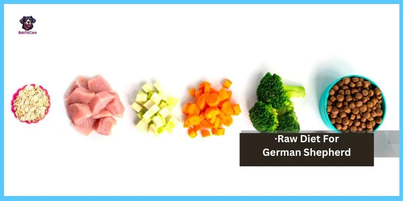 Raw Diet for German shepherd