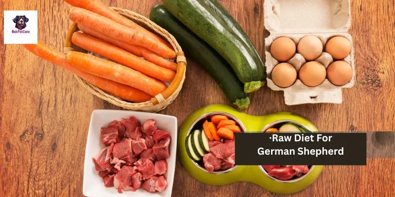 Raw Diet for German shepherd