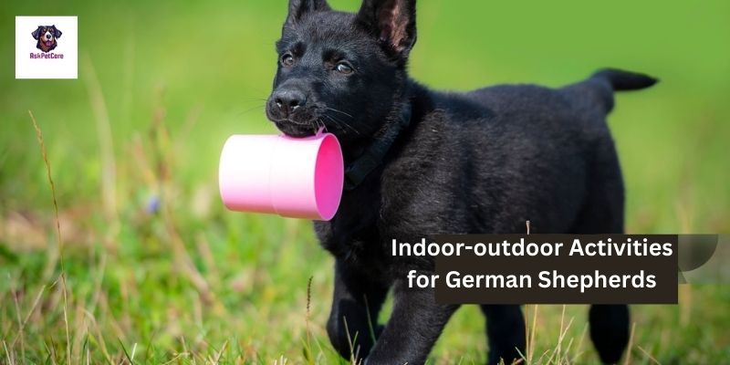 Indoor-outdoor Activities for German Shepherds